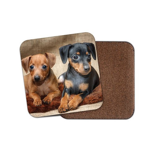 Dachshund puppies coaster - coaster,