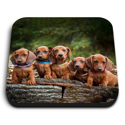 Square mdf magnets cute - mdf,
