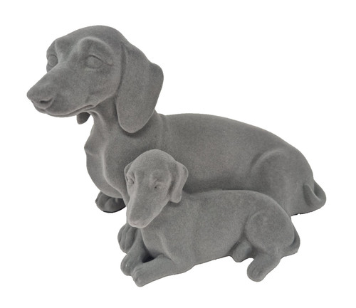 Dachshund puppy grey - grey, dogs