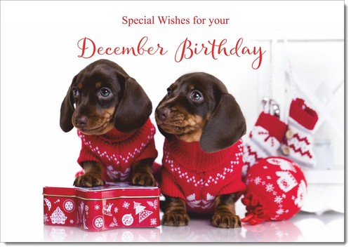 Doodlecards december birthday - doodlecards,
