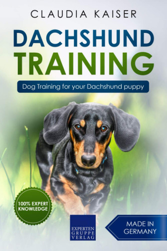 Dachshund training dog - dachshund, training: