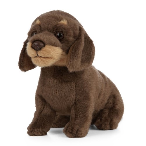 Dachshund puppy dog plush - puppy,
