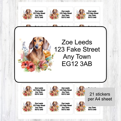 Dachshund dog puppy - dachshund, dog/puppy