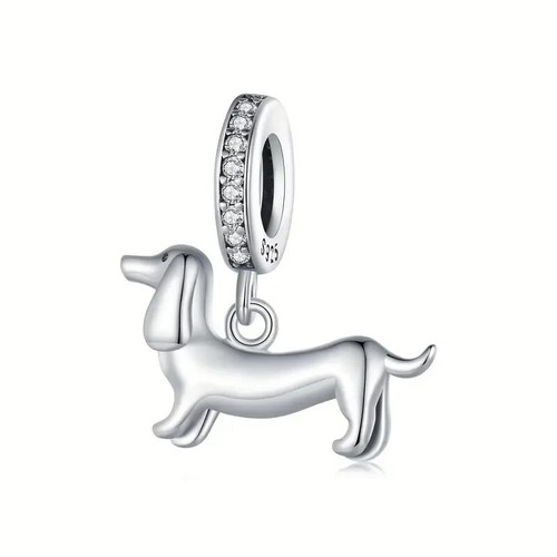 Dachshund dog puppy pet - dachshund, charm