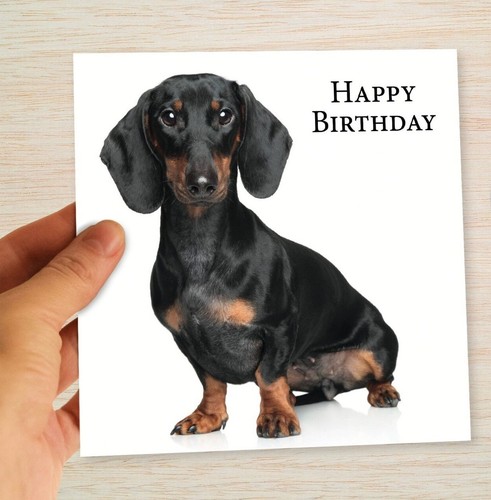 Dachshund birthday cards - birthday,