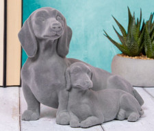 DACHSHUND Adult & Puppy Grey
