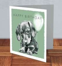 Dachshund sausage dog puppy